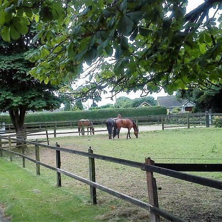 Garrane House Bed and Breakfast Croom Buitenkant foto